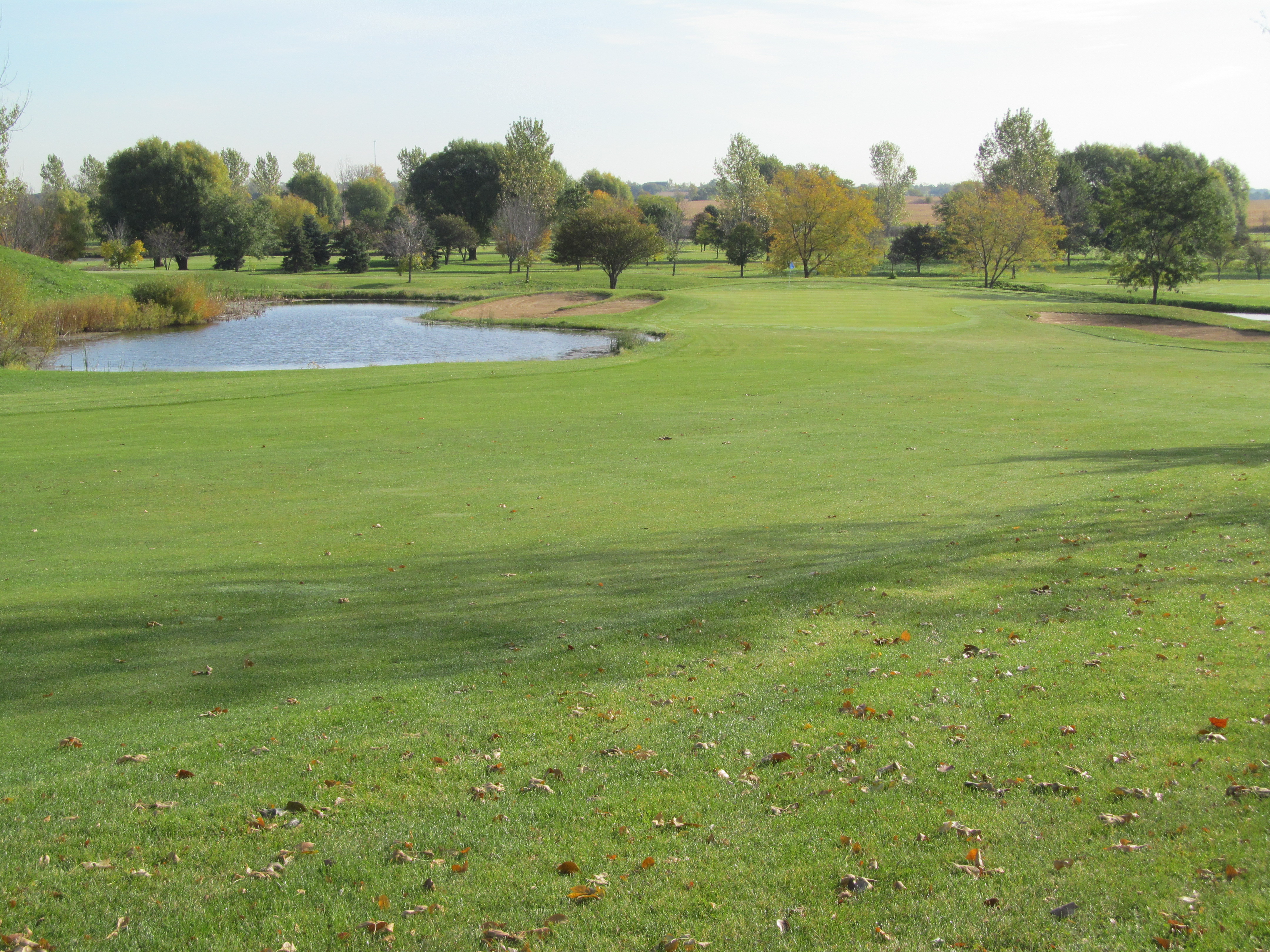Golf course green